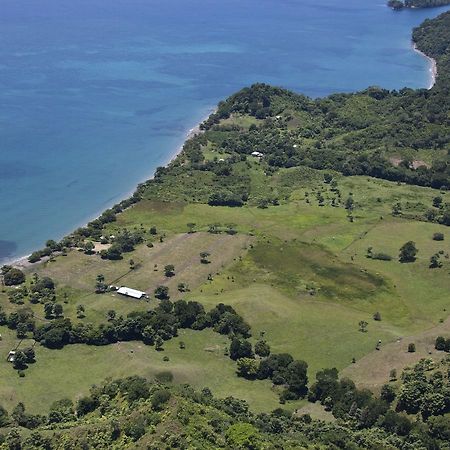 Hotel Punta De Aguila Necoclí Exteriér fotografie